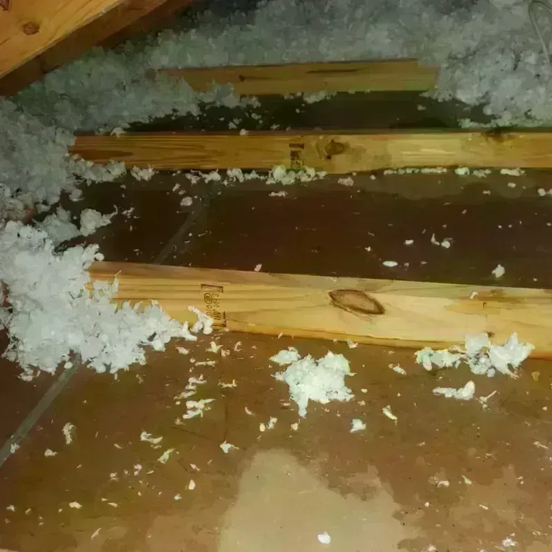 Attic Water Damage in Frostburg, MD